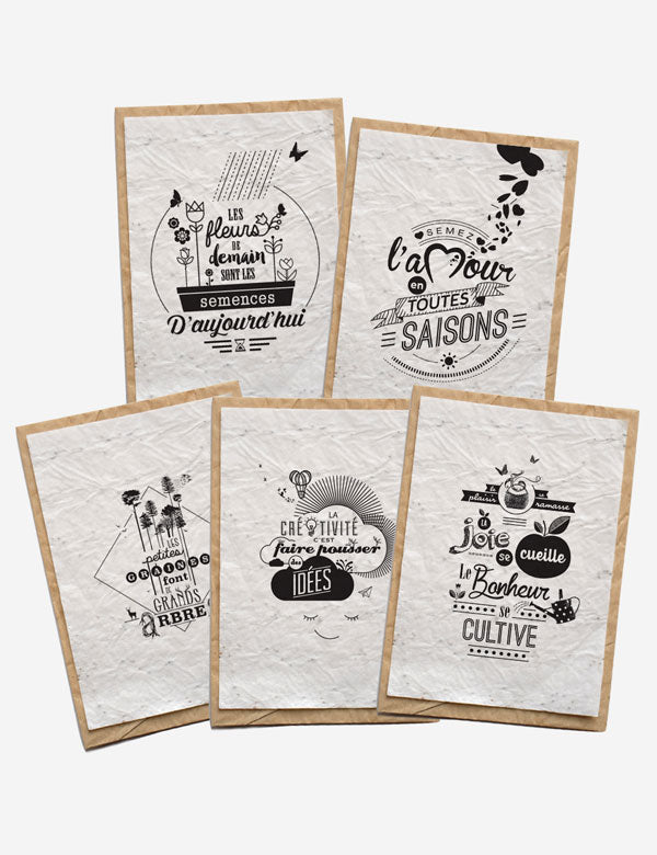 Les cartes ensemencées