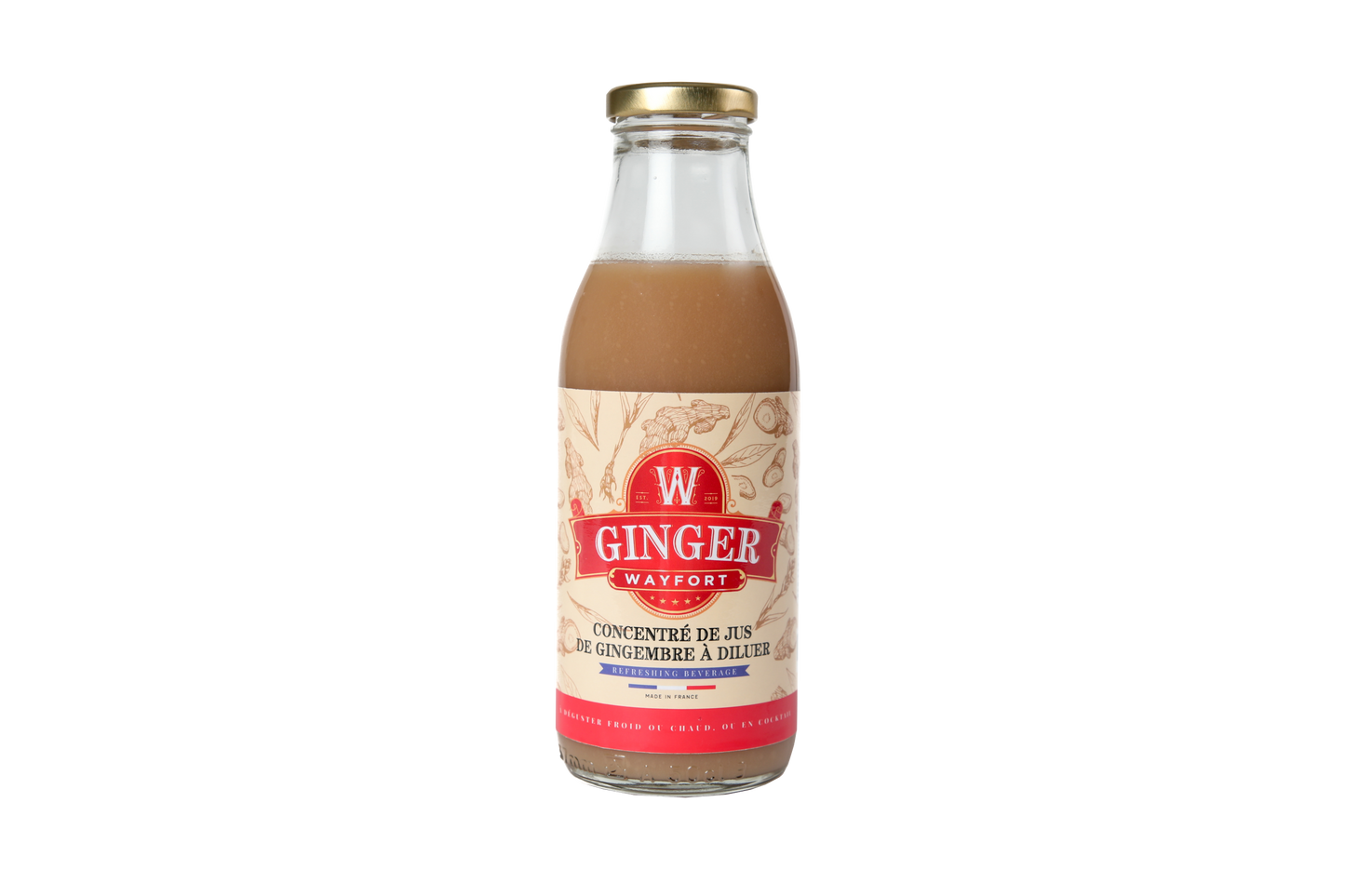 Concentré de Jus de Gingembre | Ginger |