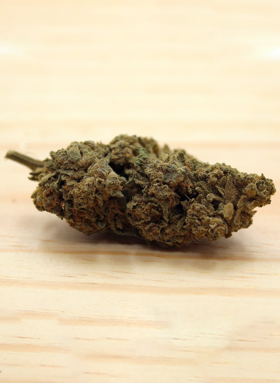 Bubble gum du Sud-Est - BIO | 1g