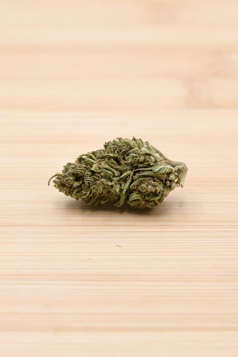 Diesel du Sud-Ouest - BIO | 10g