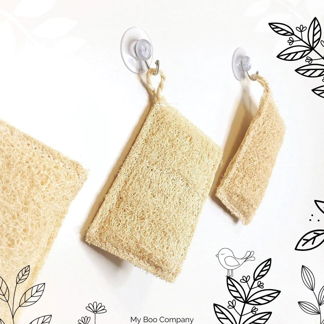Éponge luffa pour la maison