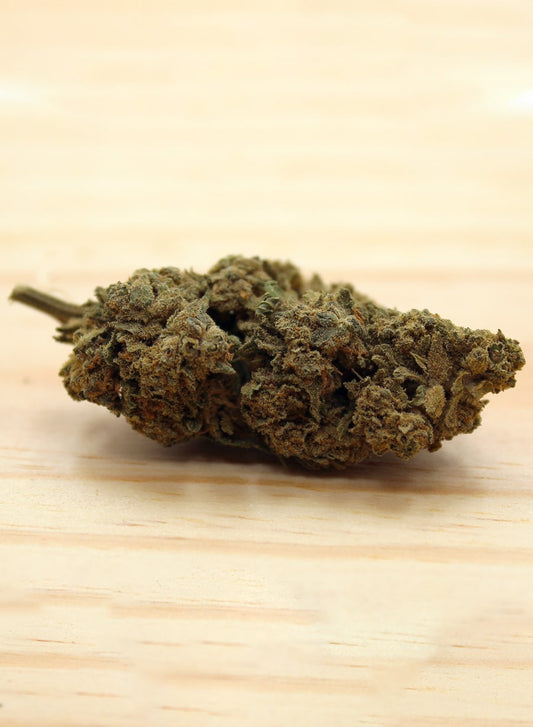 Bubble gum du Sud-Est - BIO | 1g