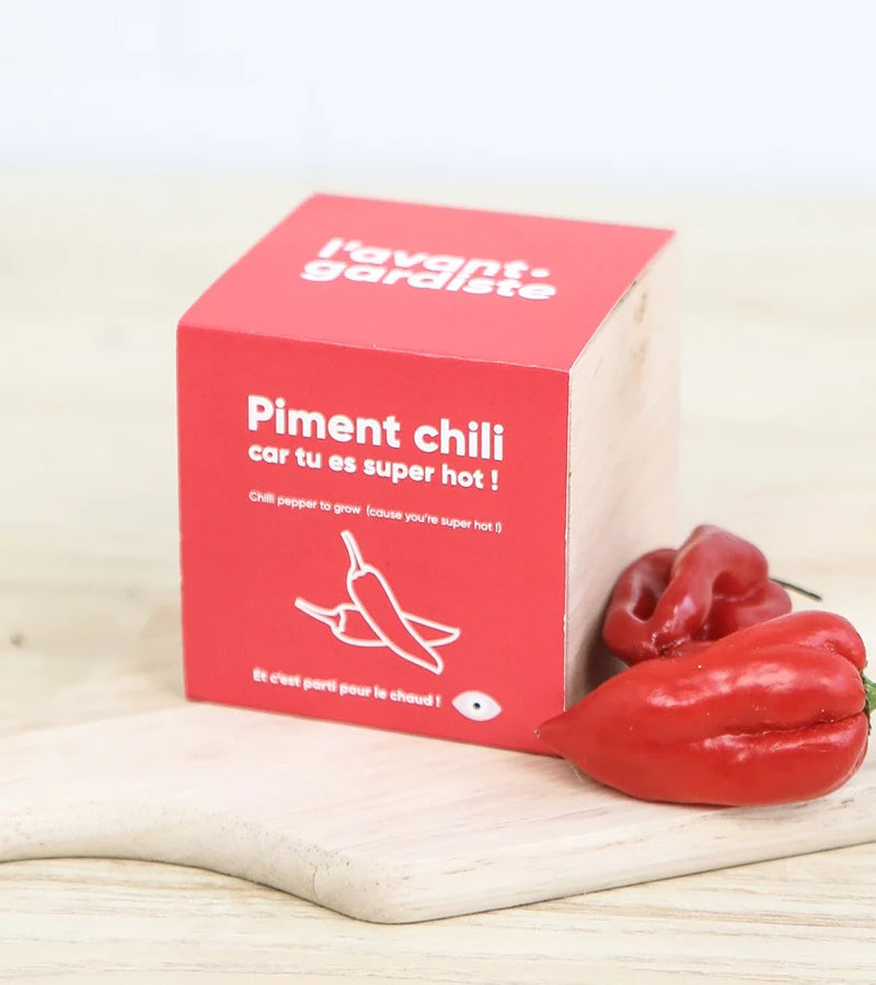 Plante à faire pousser | Ecocube | Piment |
