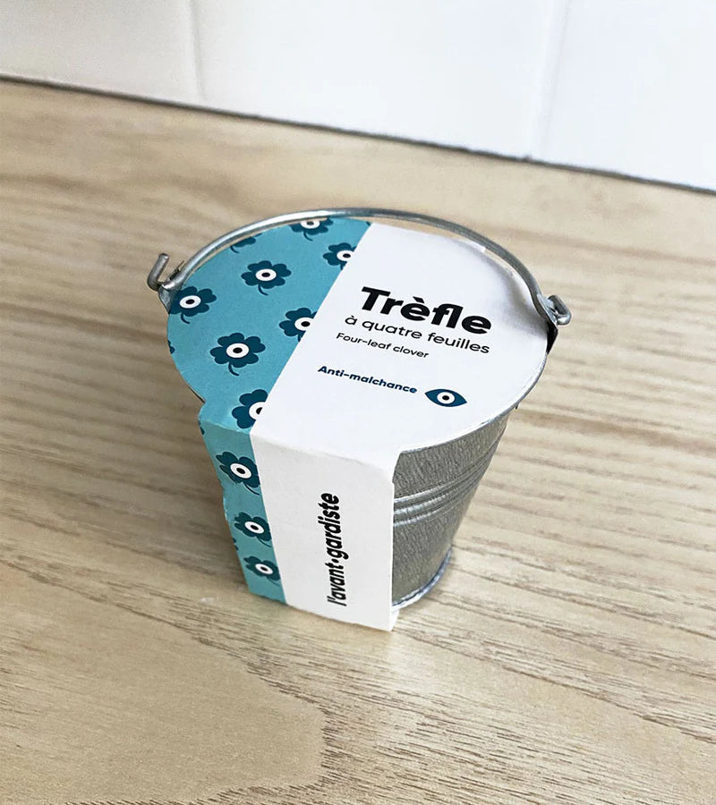 Trèfle à 4 feuilles à faire pousser